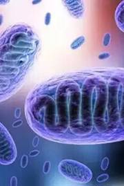 Steroids to beat the virus could bring on the fungus Steroids to beat the virus could bring on the fungus
